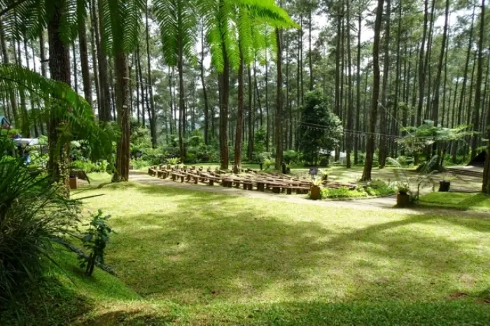 Orchid Forest Cikole