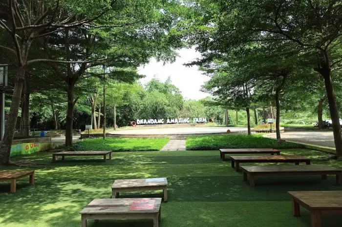 D'Kandang Amazing Farm