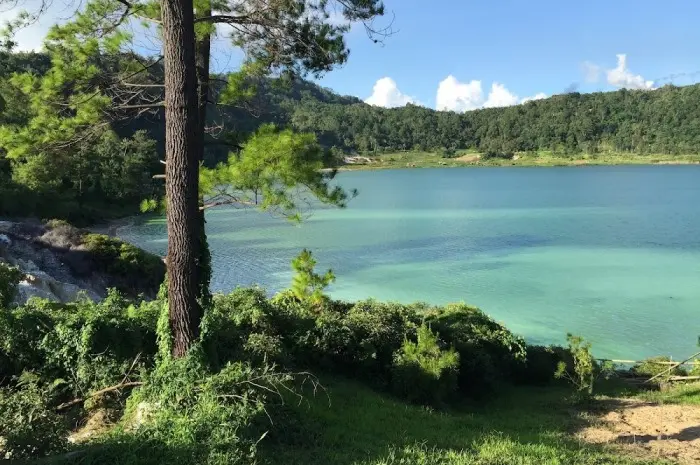 Harga Tiket Masuk & Jam Operasional ke Danau Linow