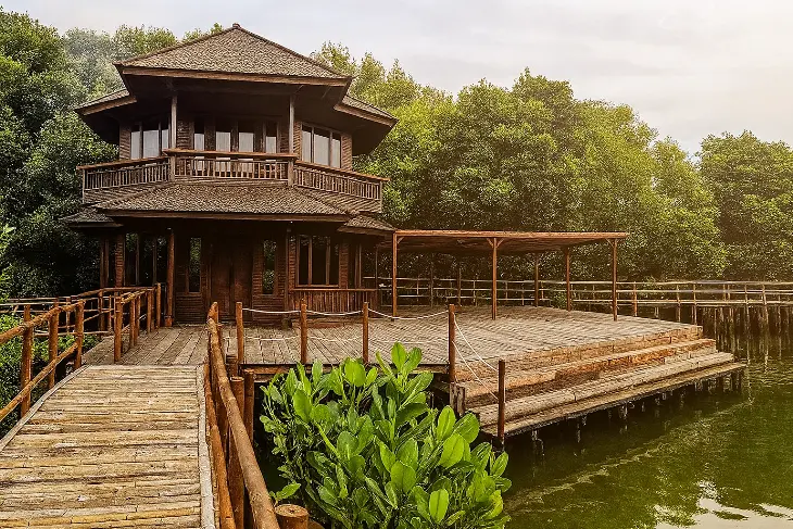 Wisata Hutan Mangrove di Indonesia Taman Wisata Alam Angke Kapuk - Jakarta Utara